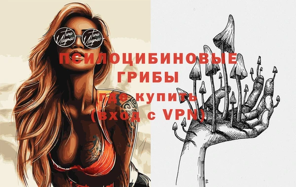 скорость Алзамай