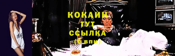 скорость Алзамай