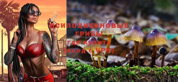 синтетический гашиш Алексеевка