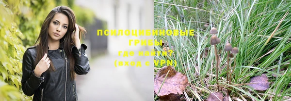 прущие крисы Осинники