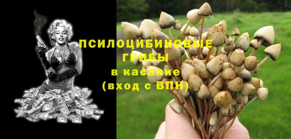 тгк Алексин